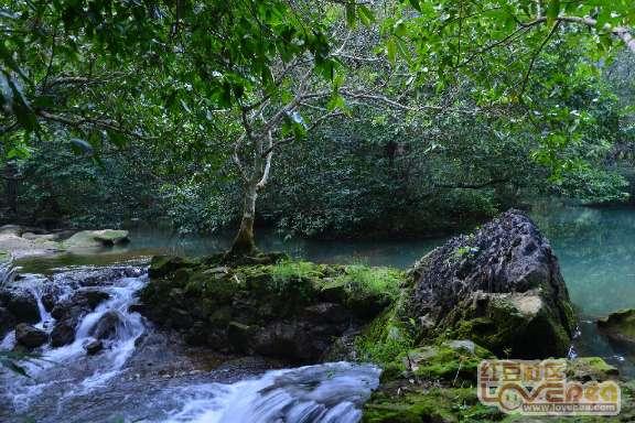 人到中年坚持每天走路，这4种问题可能会悄悄“走掉”，值得一试